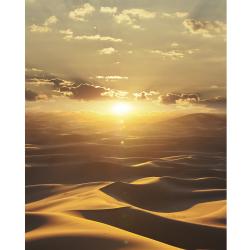 Dune