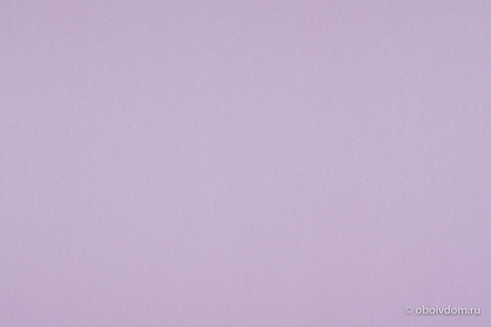 10118_01_1__1642966366_88