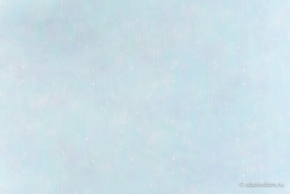 10310_01_1__1642542491_387