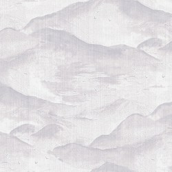 am1001-1