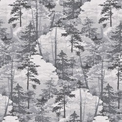 am2011-1