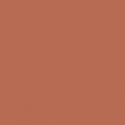 am3007_1-1