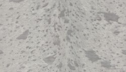 c060f223-082e-40e6-bee5-1a17d03bb517
