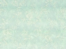 d6d1e54c-b674-4475-b7a4-c0b998efb0e8