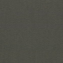 dl10442-10-m-1