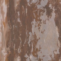 dl10444-04-m-1