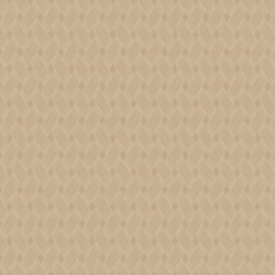 joli8012-m-1